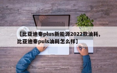 【比亚迪秦plus新能源2022款油耗,比亚迪秦puls油耗怎么样】