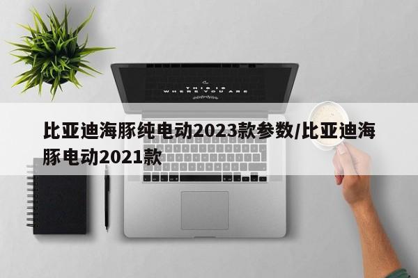 比亚迪海豚纯电动2023款参数/比亚迪海豚电动2021款