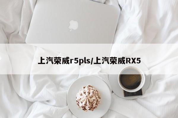 上汽荣威r5pls/上汽荣威RX5