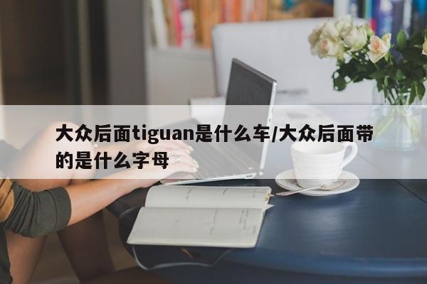 大众后面tiguan是什么车/大众后面带的是什么字母