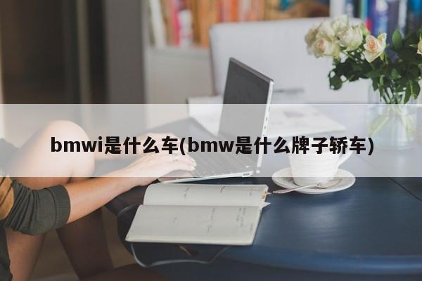 bmwi是什么车(bmw是什么牌子轿车)