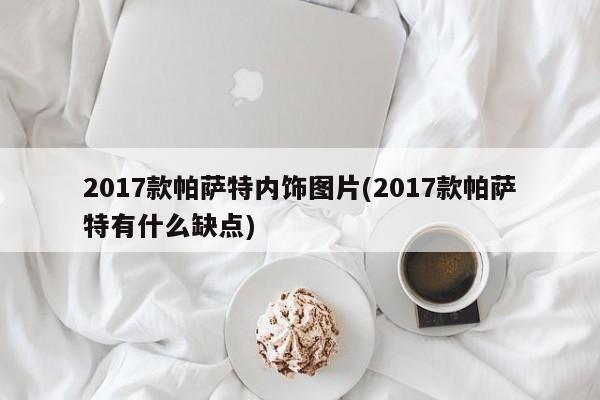 2017款帕萨特内饰图片(2017款帕萨特有什么缺点)